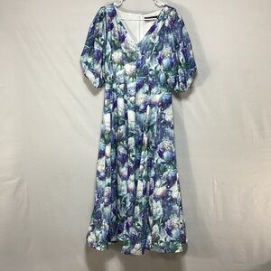 NWT Dahlia Mac Phee floral Maxi Dress in Blue and White